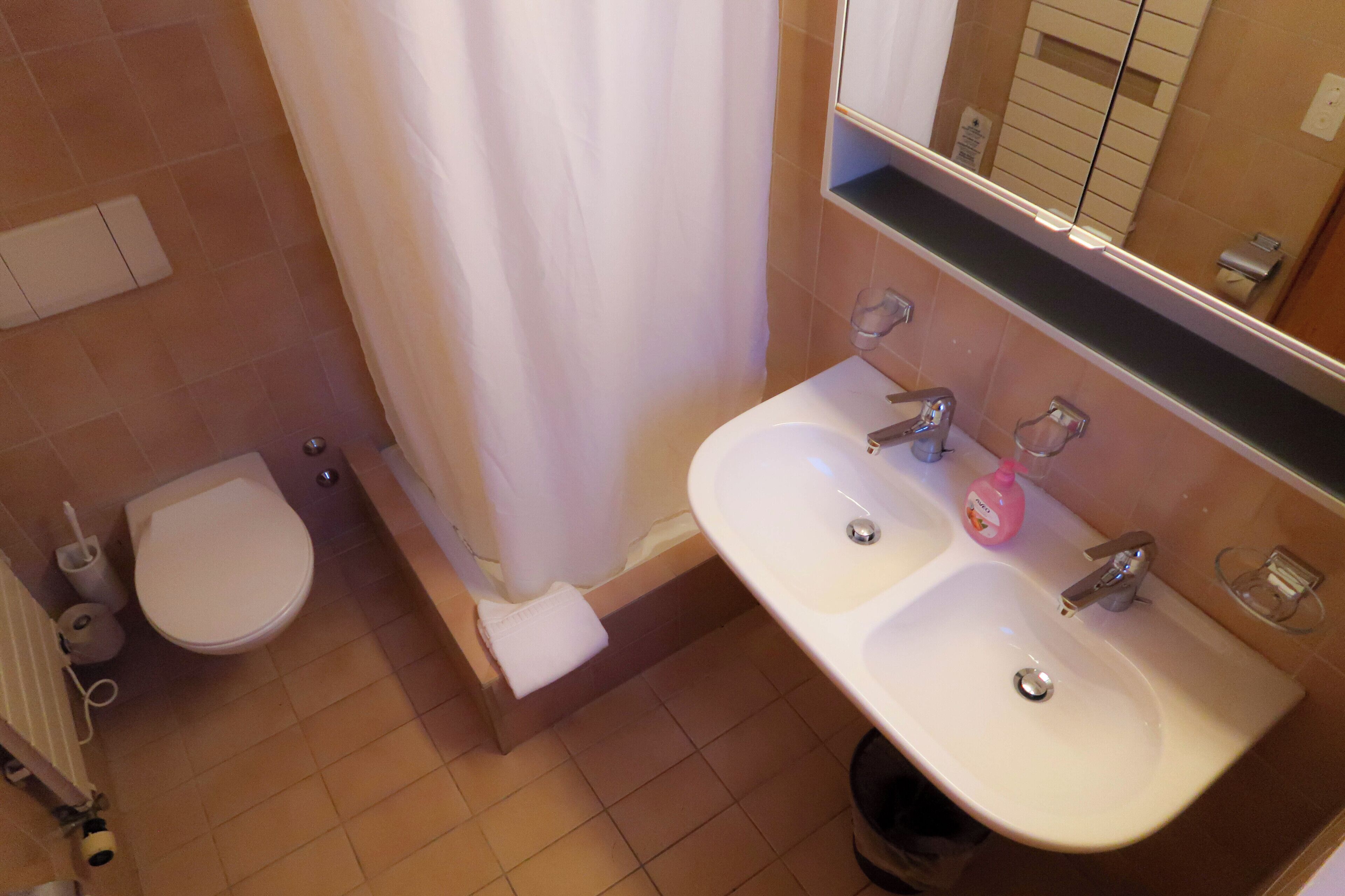Een badkamer met een toilet, een wastafel, een spiegel en een douchegordijn.