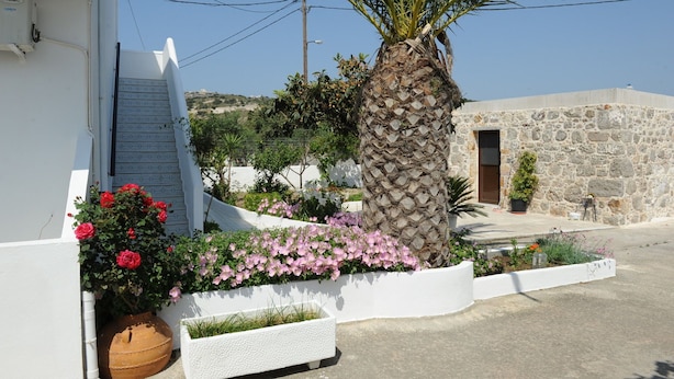 Property grounds - Spring Studios (Kos)