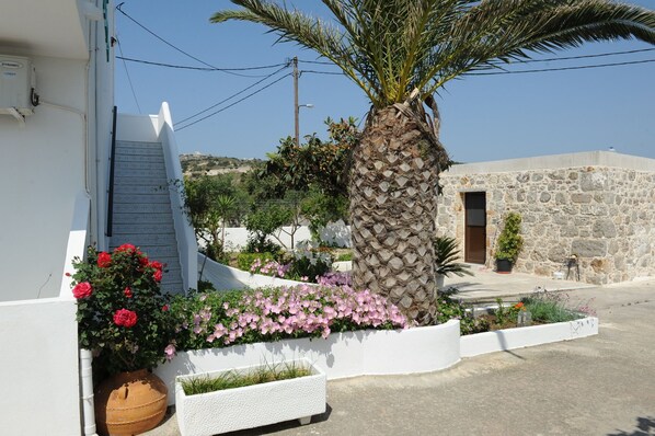 Property grounds - Spring Studios (Kos)