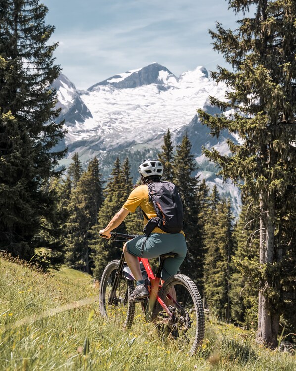 Un ciclista de montaña en un sendero, con montañas nevadas al fondo.