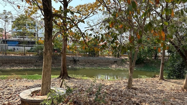 Un parc avec des arbres, un étang et un mur de pierres.
