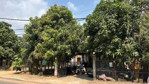 Une scène de rue avec des arbres, une clôture et des motos garées.