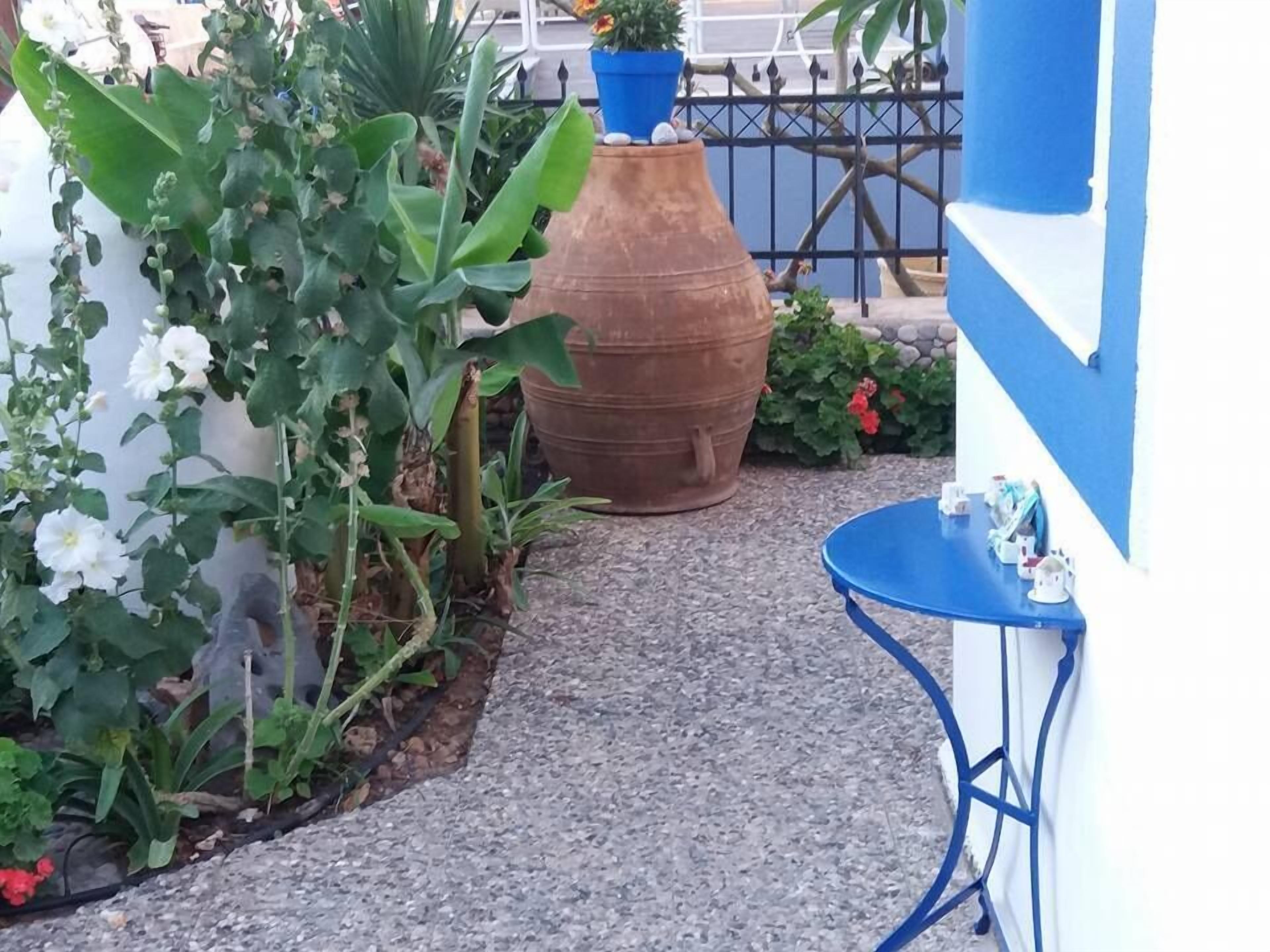 A garden area with potted plants and a blue table.
