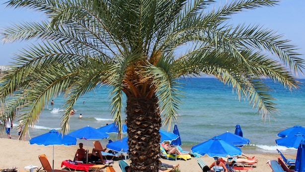 Ein Strand mit Palmen, blauen Sonnenschirmen und Liegestühlen.