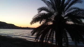 Ein Strand mit einer Palme, sandigem Ufer und Blick aufs Meer.
