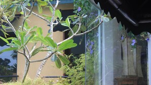A tree with green leaves in front of a building with a beige facade and a dark awning. - Villa Escondite (Sri Jayawardenepura Kotte)