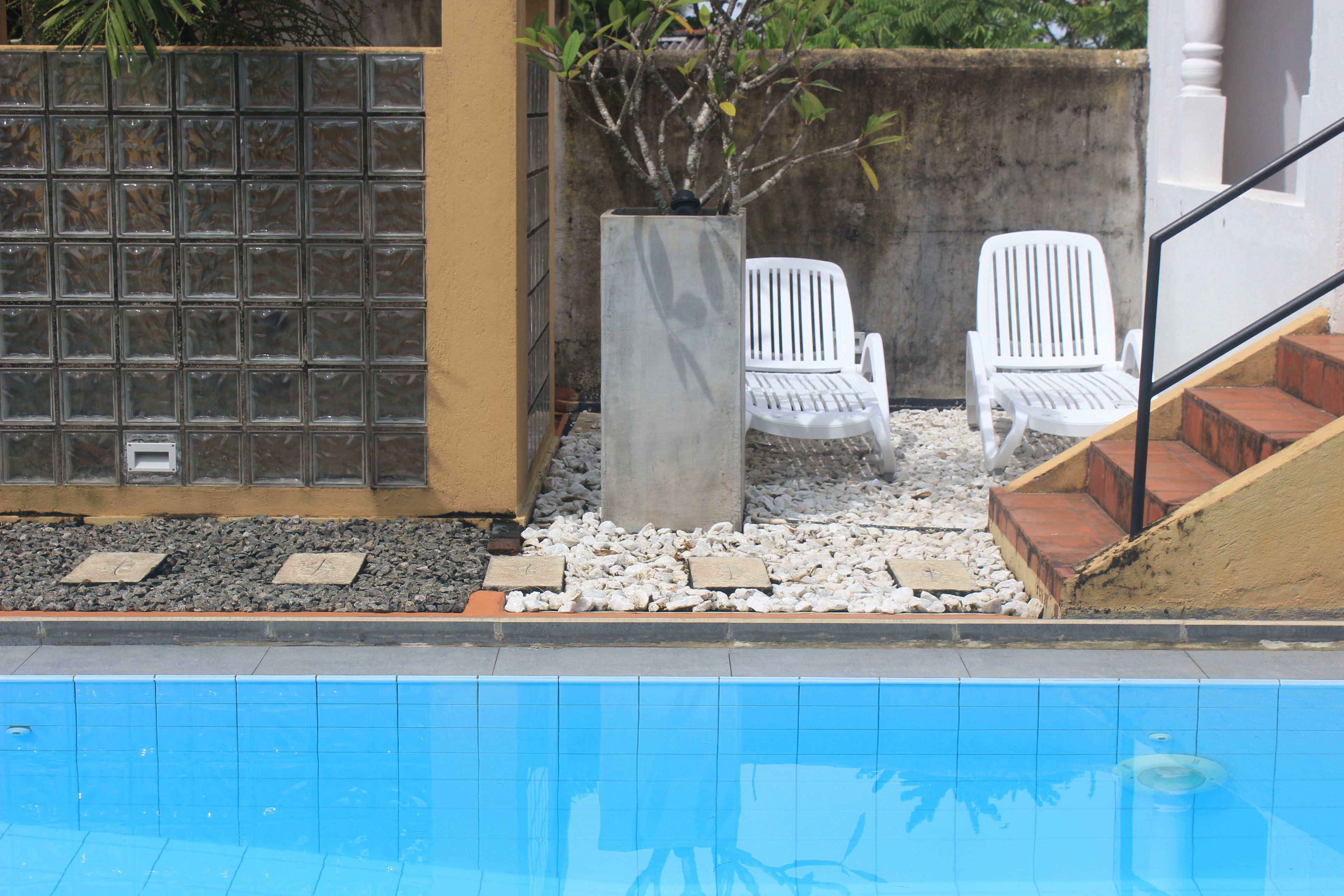 A swimming pool with white chairs and a potted plant.