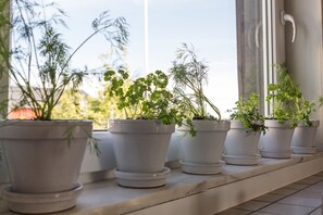 Daily buffet breakfast (SEK 50.00 per person)