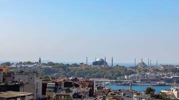 A cityscape with a prominent mosque with a large dome and minarets, surrounded by residential buildings and a body of water.
