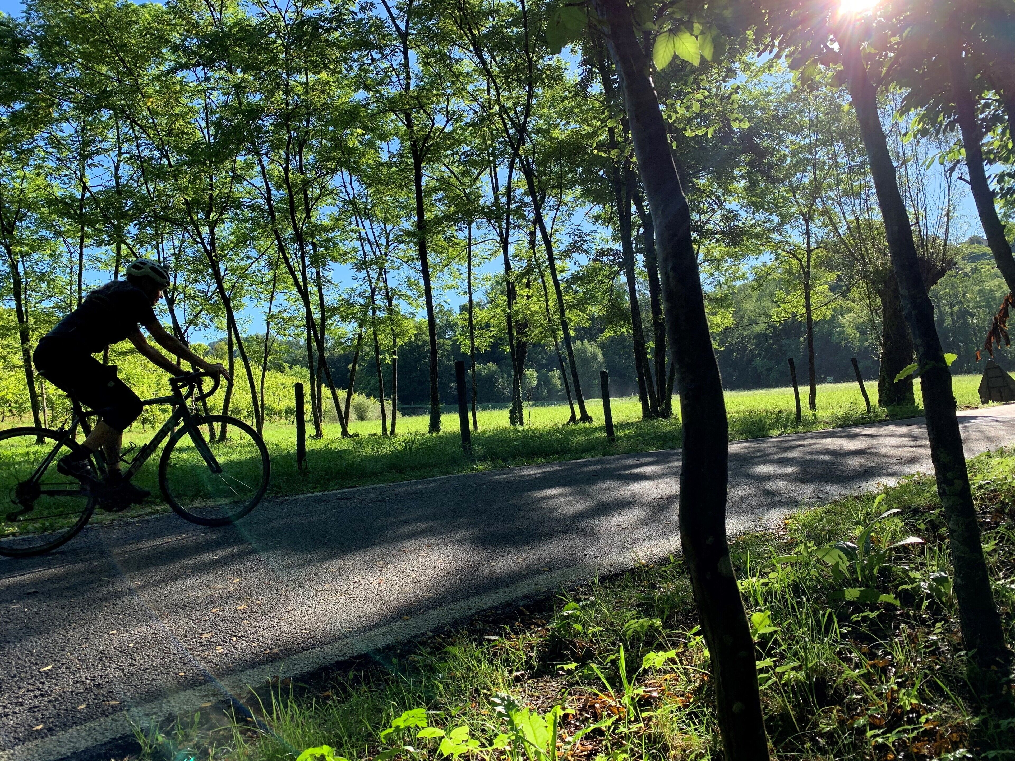 Un ciclista en un camino pavimentado, rodeado de árboles y follaje.