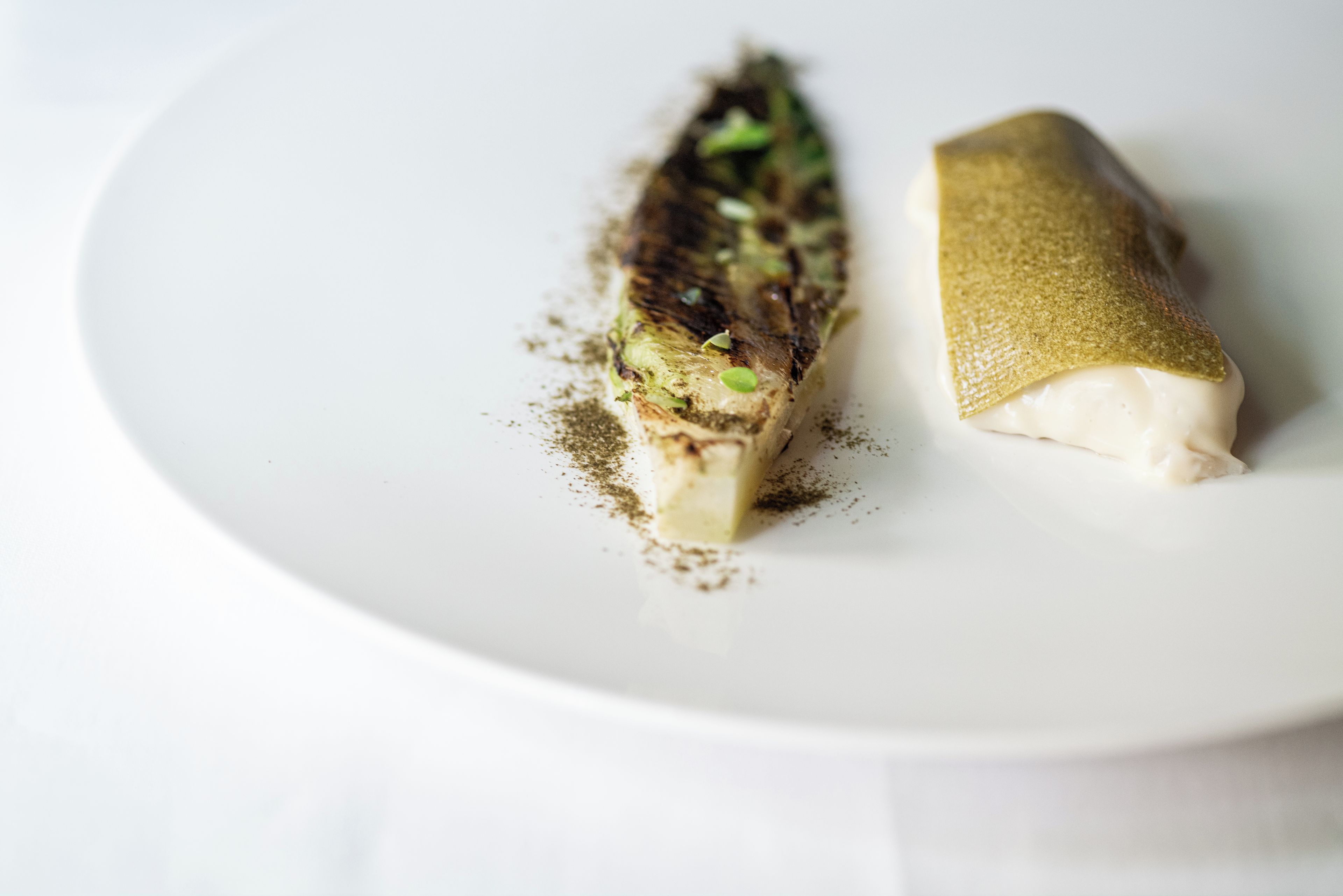 A white plate with a piece of fish and a piece of what appears to be a cheese or a similar food item.