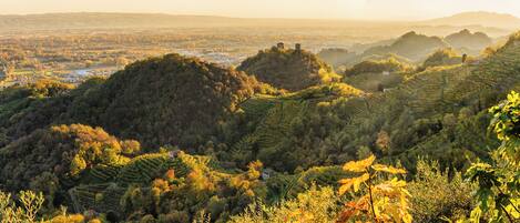 A mountainous landscape with terraced vineyards and a small building on a hill.