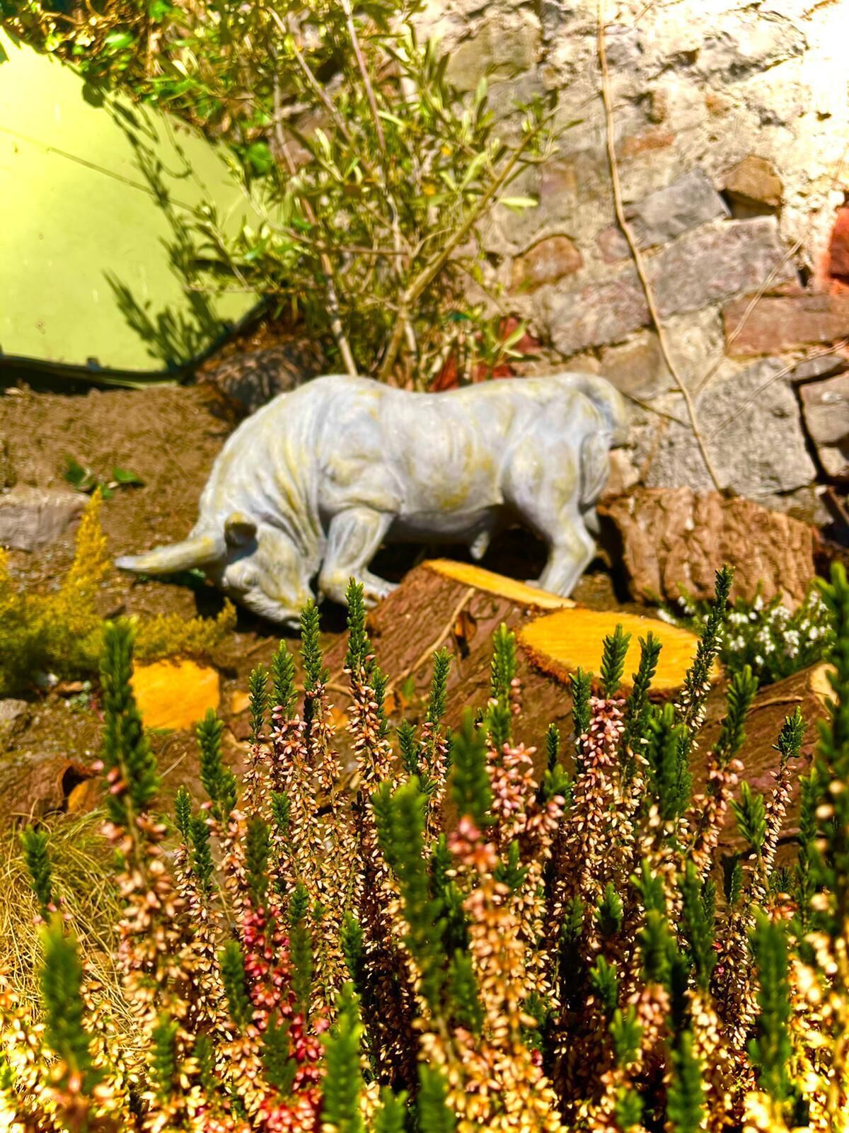 A model of a prehistoric creature in a natural setting with rocks and plants.
