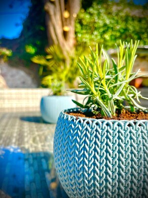 A potted plant with a textured blue pot on a tiled surface. - Bull Hotel (Abergele)