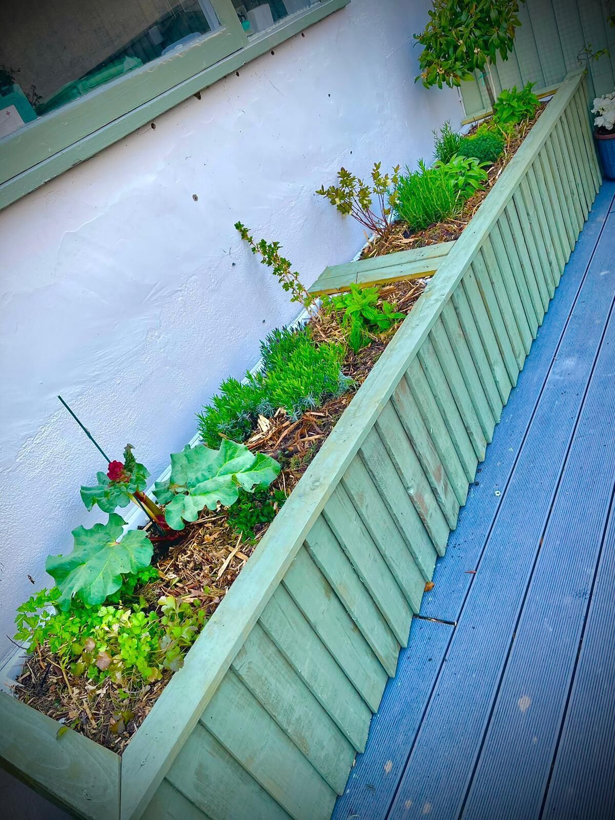 Un jardín elevado con diversas plantas, una terraza de madera y una pared blanca.
