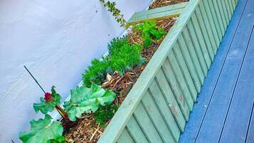 Un jardín elevado con diversas plantas, una terraza de madera y una pared blanca.