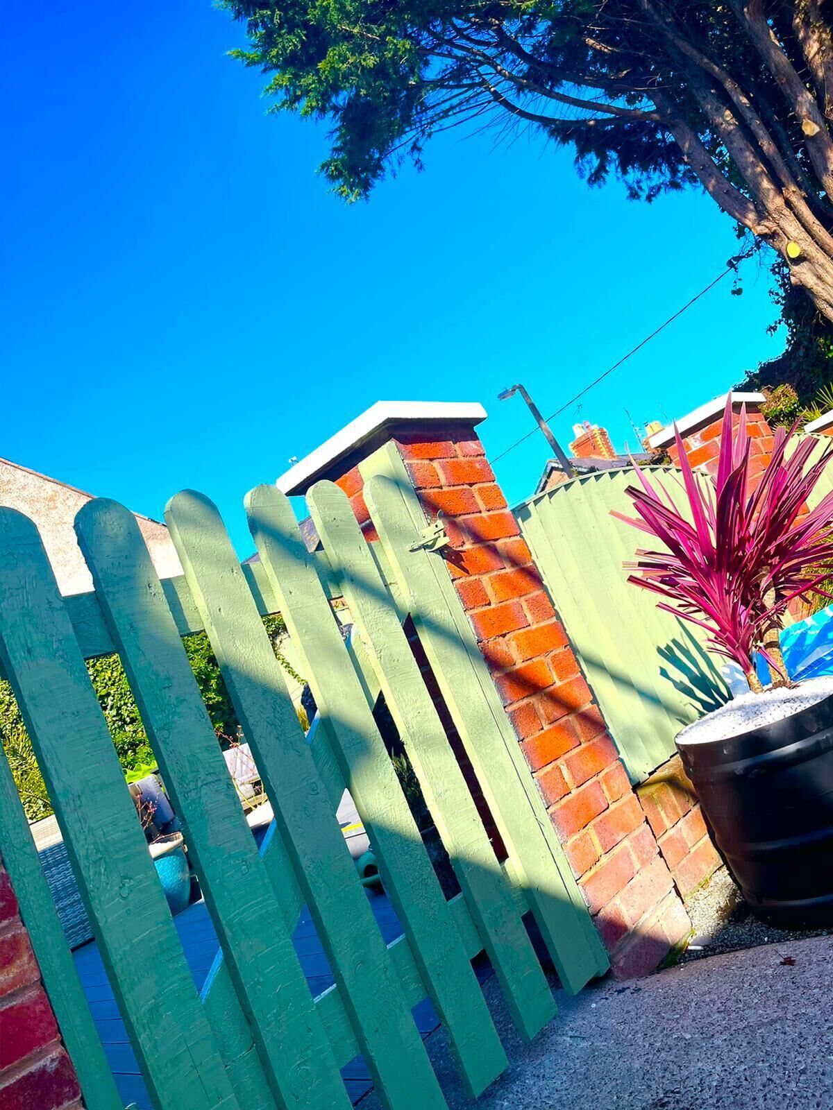 A green wooden fence, a brick wall, and a potted plant with red leaves.