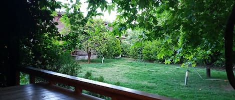 Vista giardino