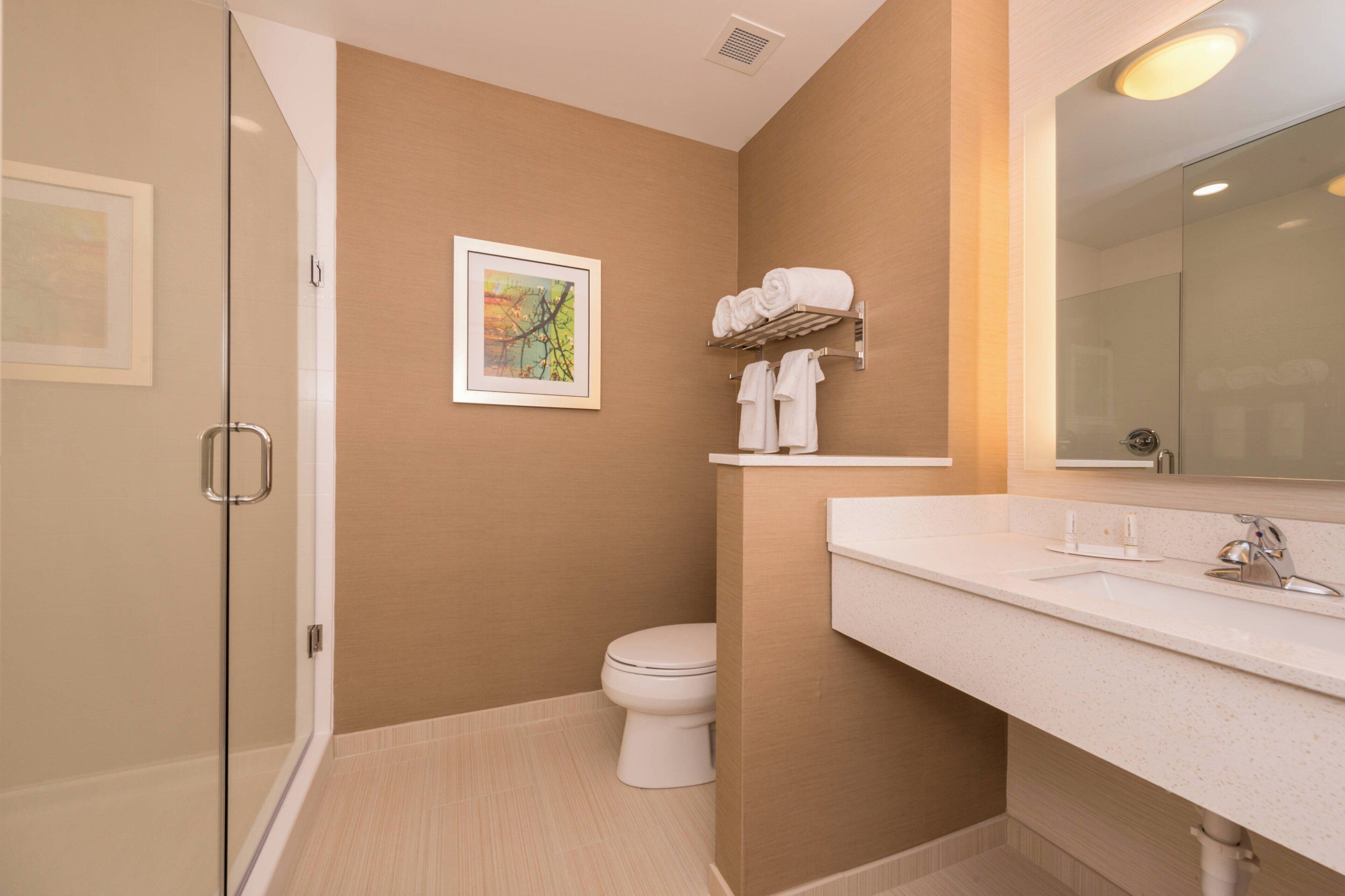 shower, free toiletries, hair dryer, towels