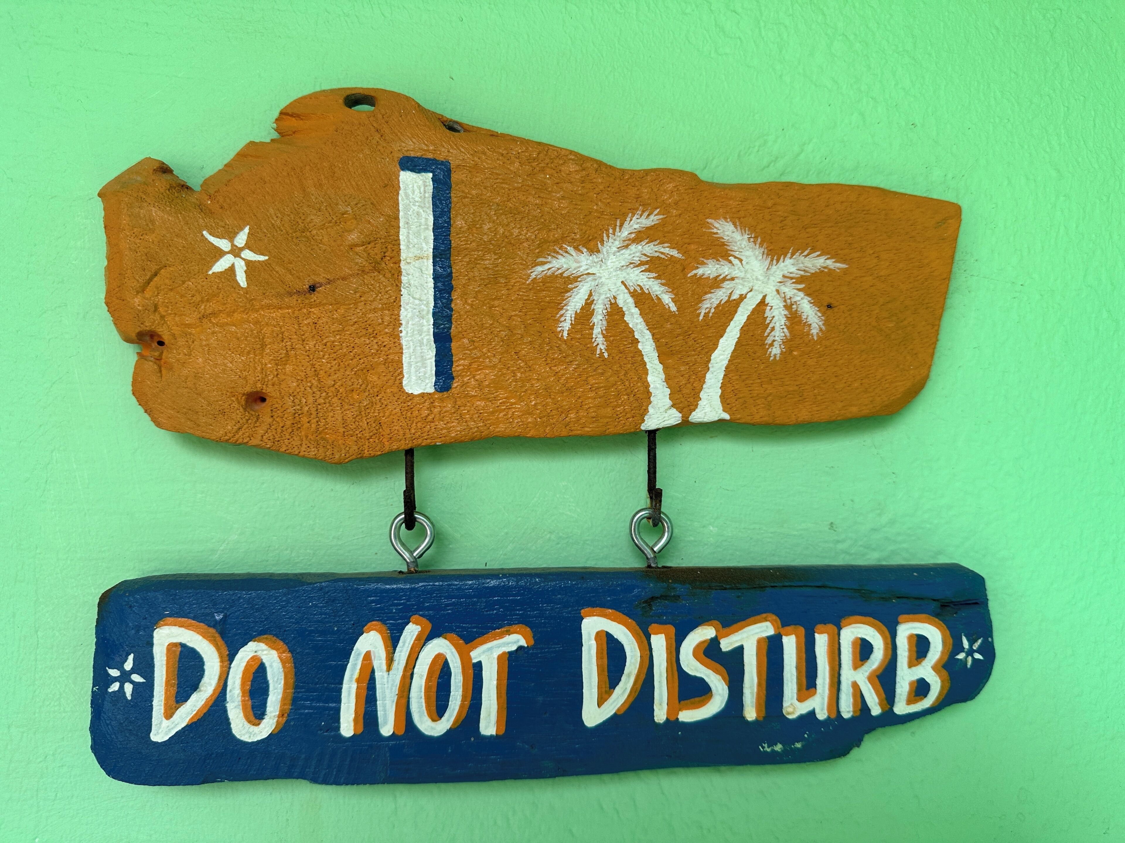 Ein Holzschild mit Palmen und dem Schriftzug 'I DO NOT DISTURB' vor einem grünen Hintergrund.
