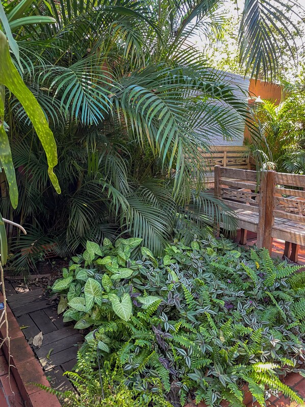 A lush garden with various plants and a wooden bench. - Pousada dos Franceses (São Paulo)