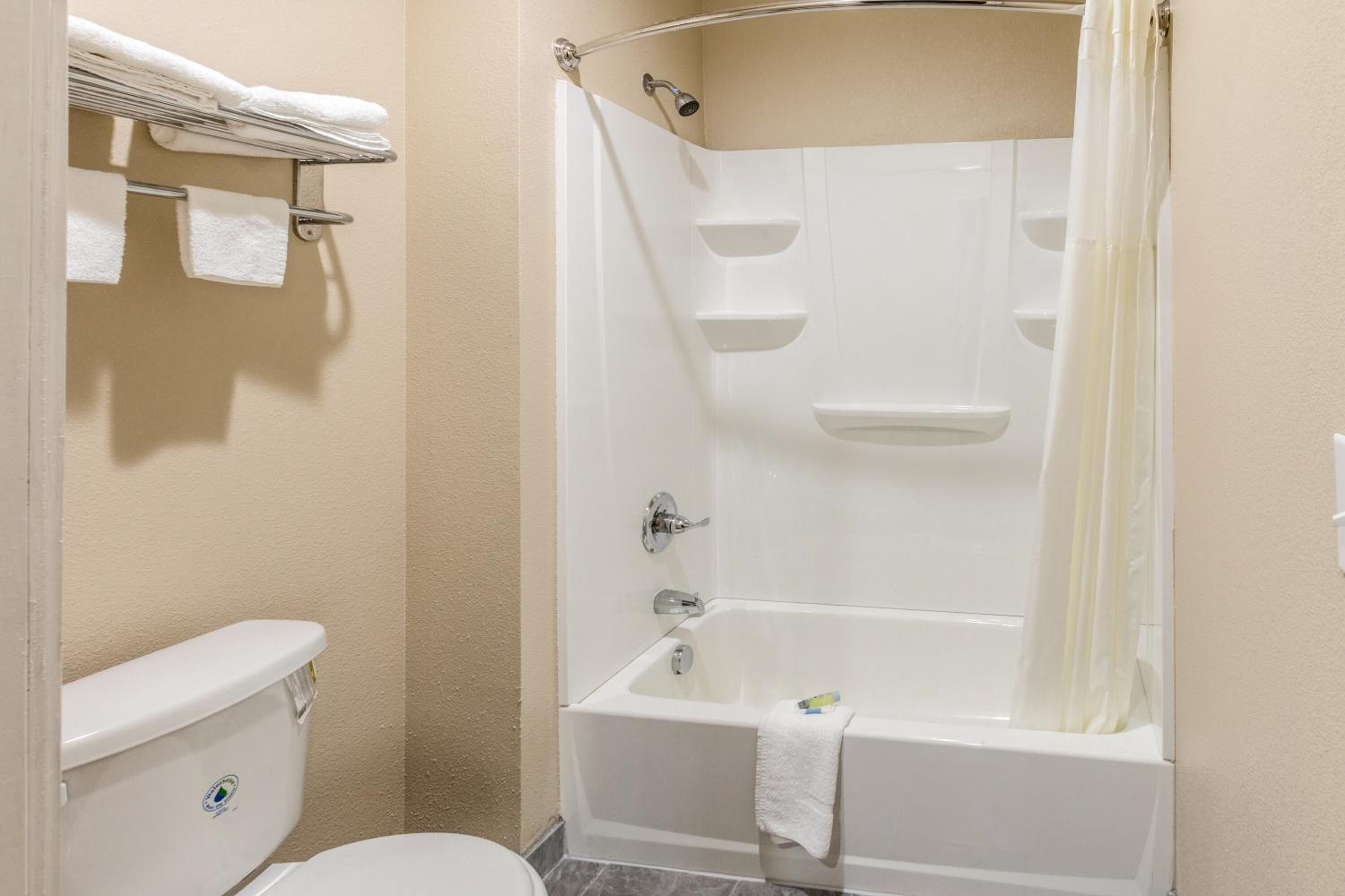 A bathroom with a toilet, a bathtub, and a shower.