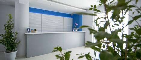 Zona d'acollida moderna amb una paret d'accent blava, una planta en test i un disseny net i minimalista.