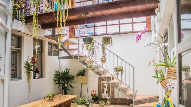 A spacious indoor area with a wooden bench, a staircase, and various potted plants. - Posada del Maple - Hostel (Quito)