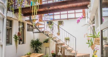 Posada del Maple - Hostel