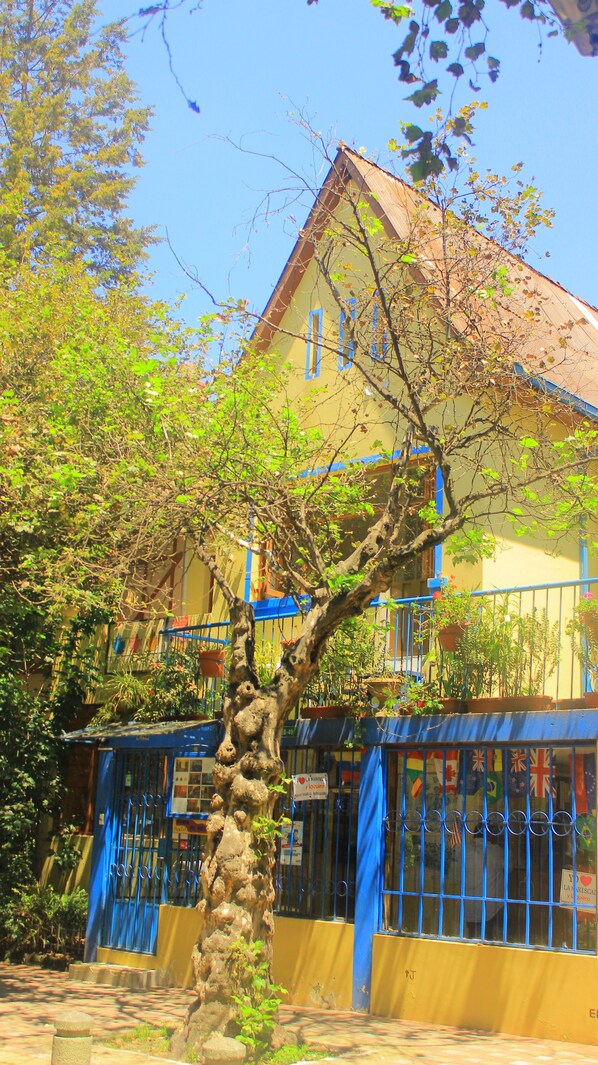 Un edificio con fachada amarilla, contraventanas azules y un árbol en primer plano.