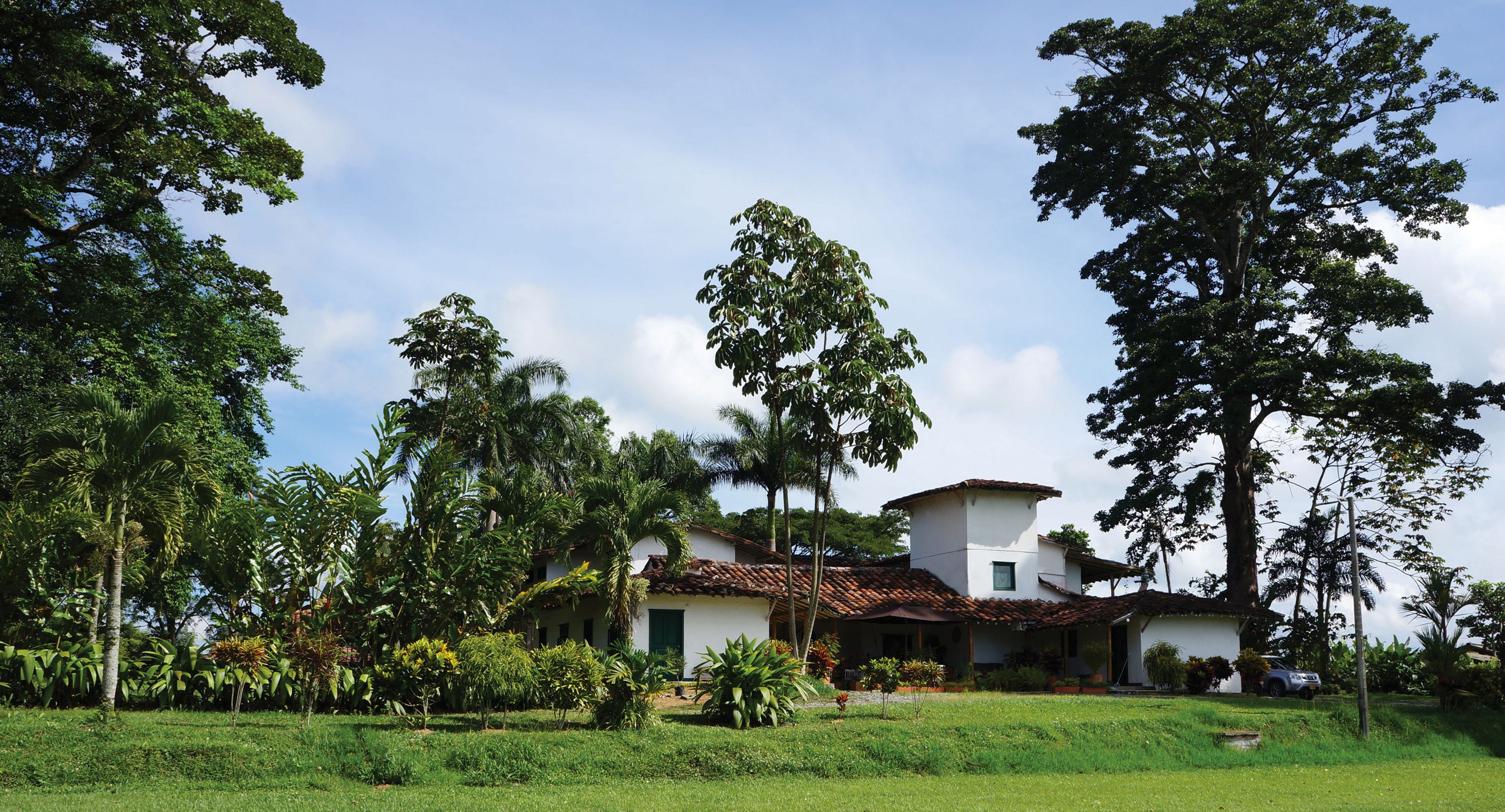 Um edifício branco com telhado em cerâmica, rodeado por vegetação exuberante e árvores.