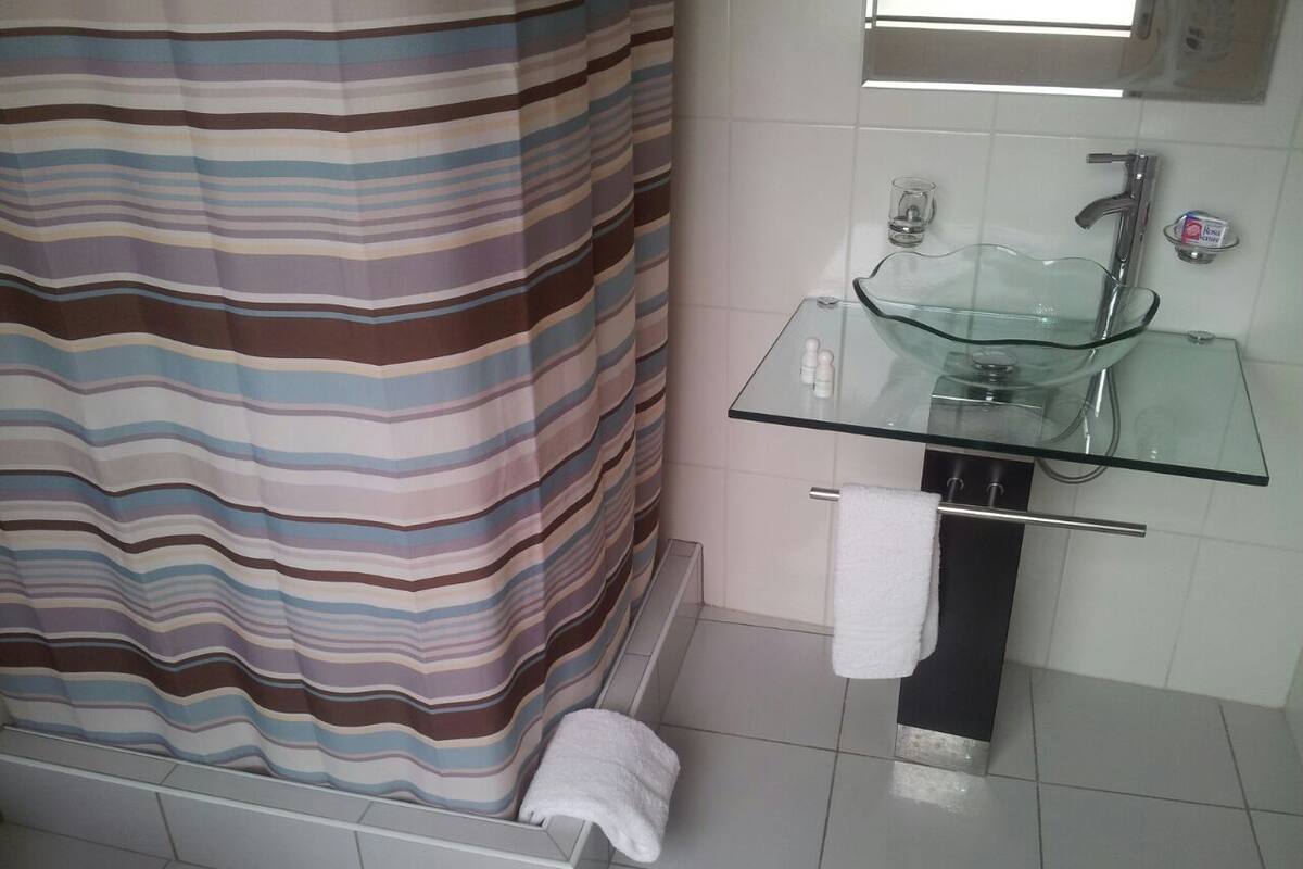 Shower, free toiletries, hair dryer