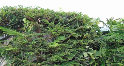 Departamentos Villas Capdeviel