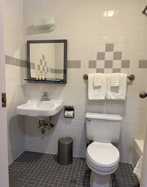 Combined shower/tub, free toiletries, hair dryer, towels