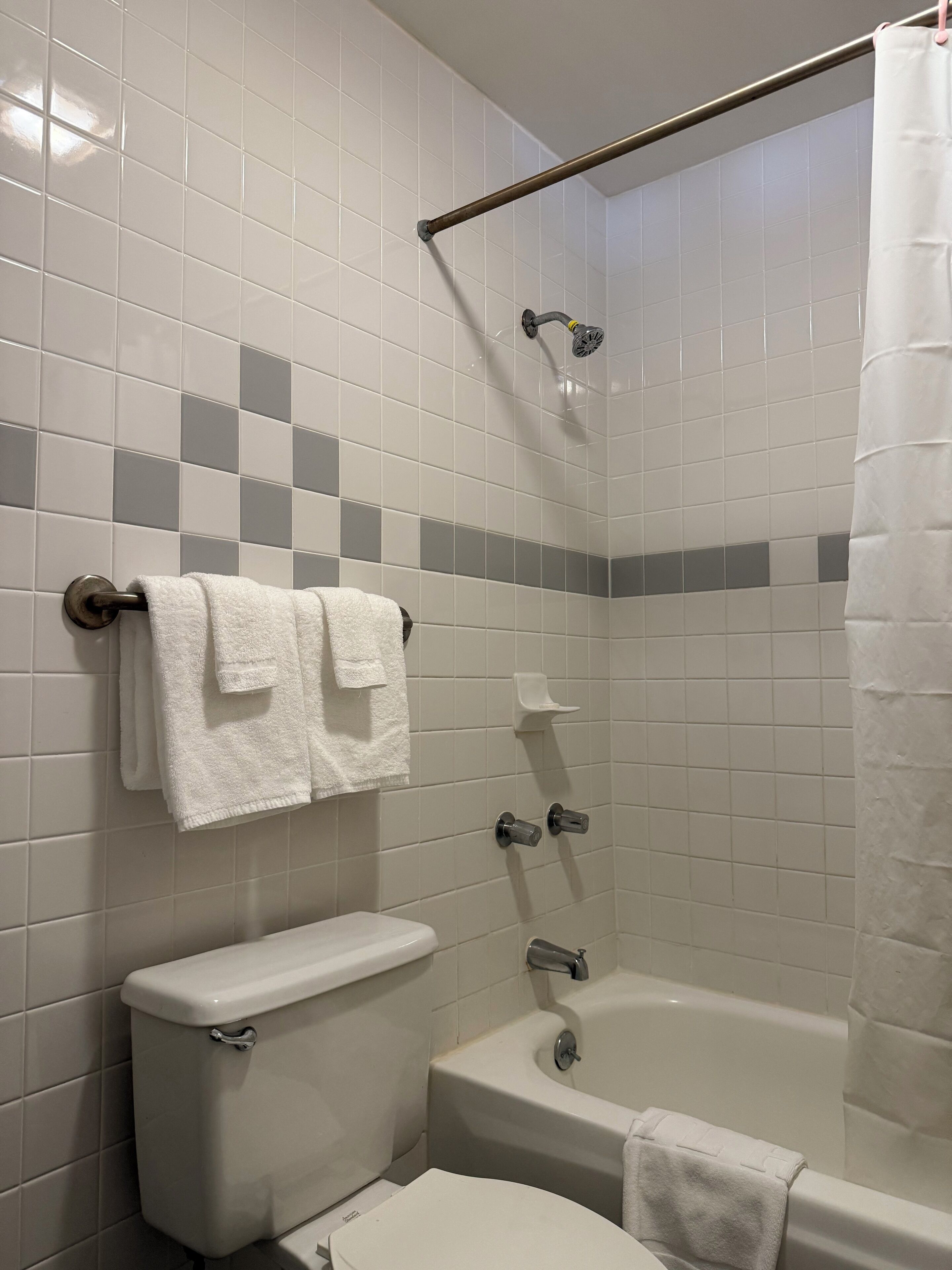 A bathroom with a toilet, bathtub, and shower area.