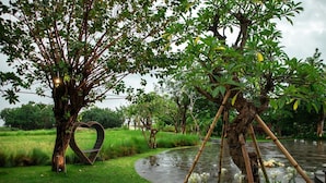 Un jardin agrémenté d’un banc en forme de cœur, d’une structure en bambou et d’un bassin.