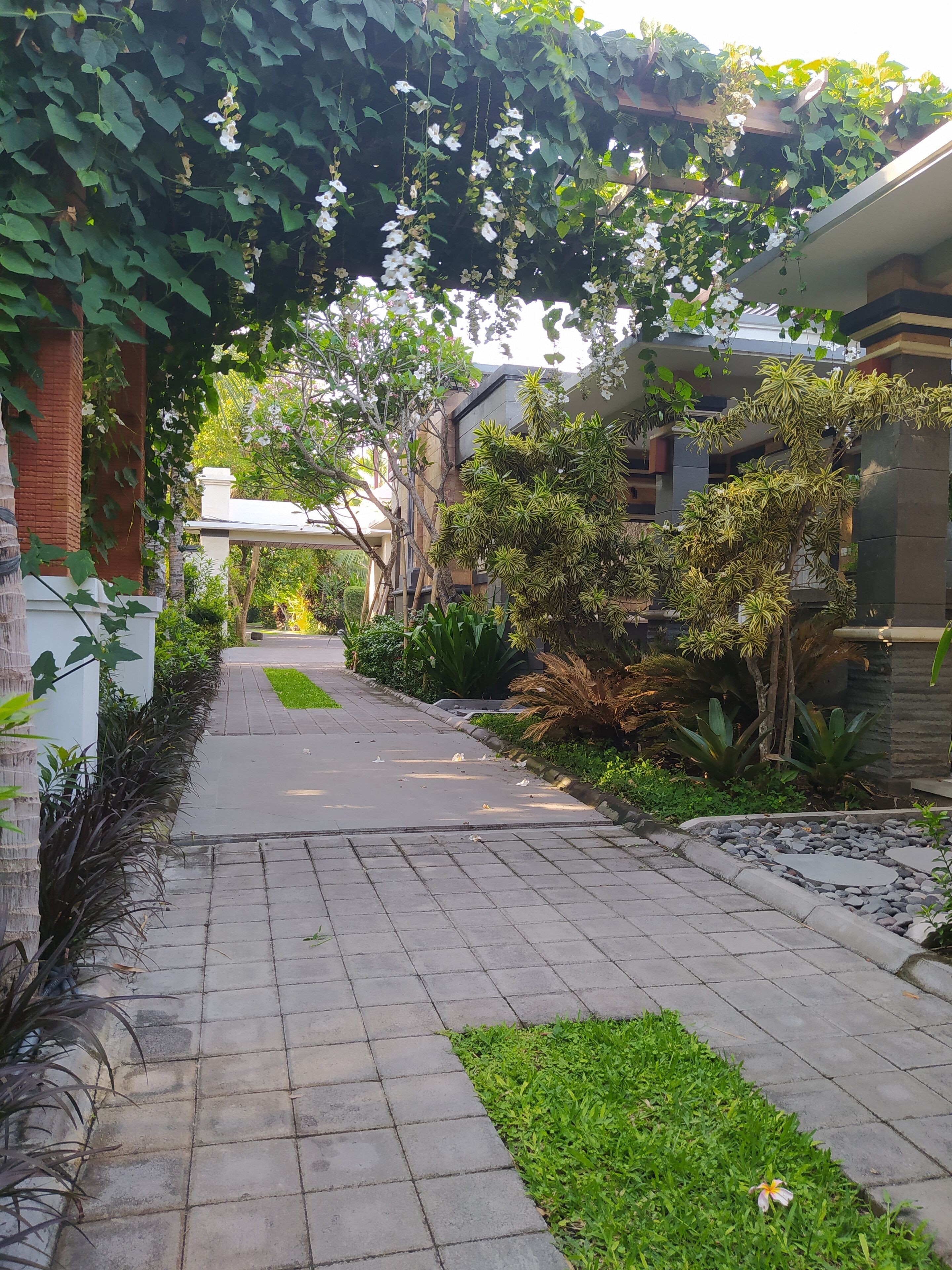 Un chemin pavé, bordé de verdure et de plantes, mène à un bâtiment à la façade en briques.