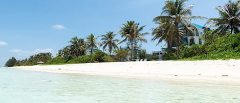 Accommodatie ligt op het strand, wit zand, ligstoelen, parasols