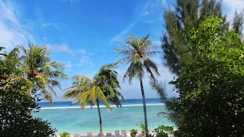 Guests can enjoy a serene beach setting with ocean views, surrounded by palm trees and lush greenery.