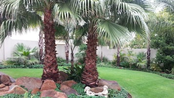 Jardin