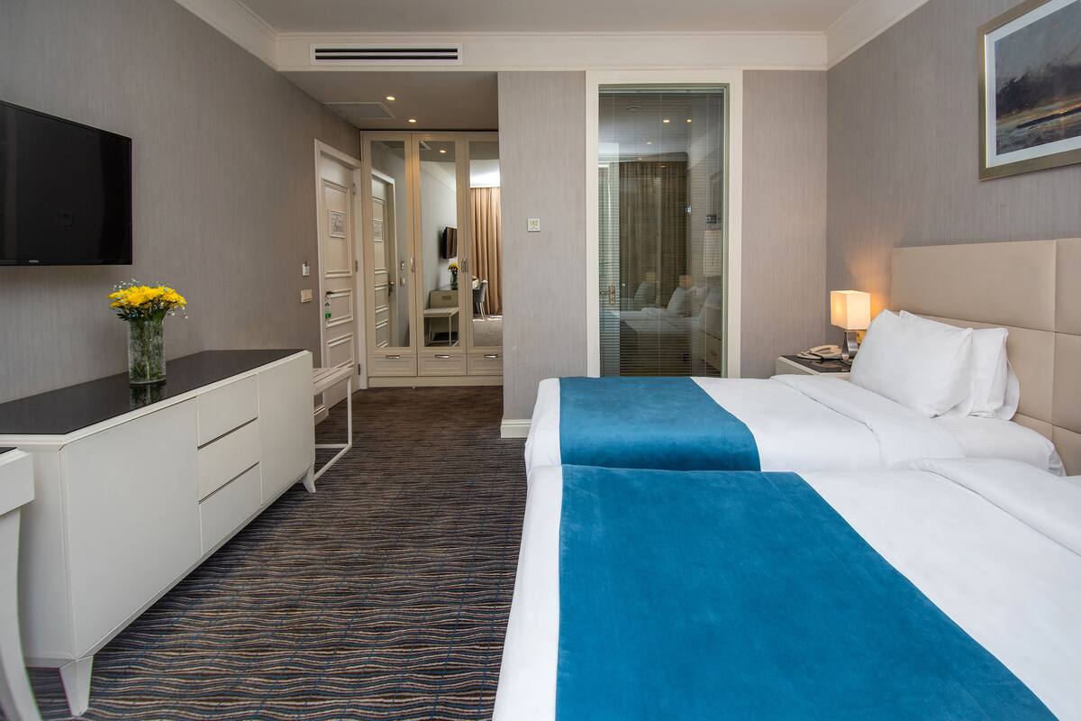 Deluxe Twin Room | Hypo-allergenic bedding, in-room safe, desk, blackout curtains