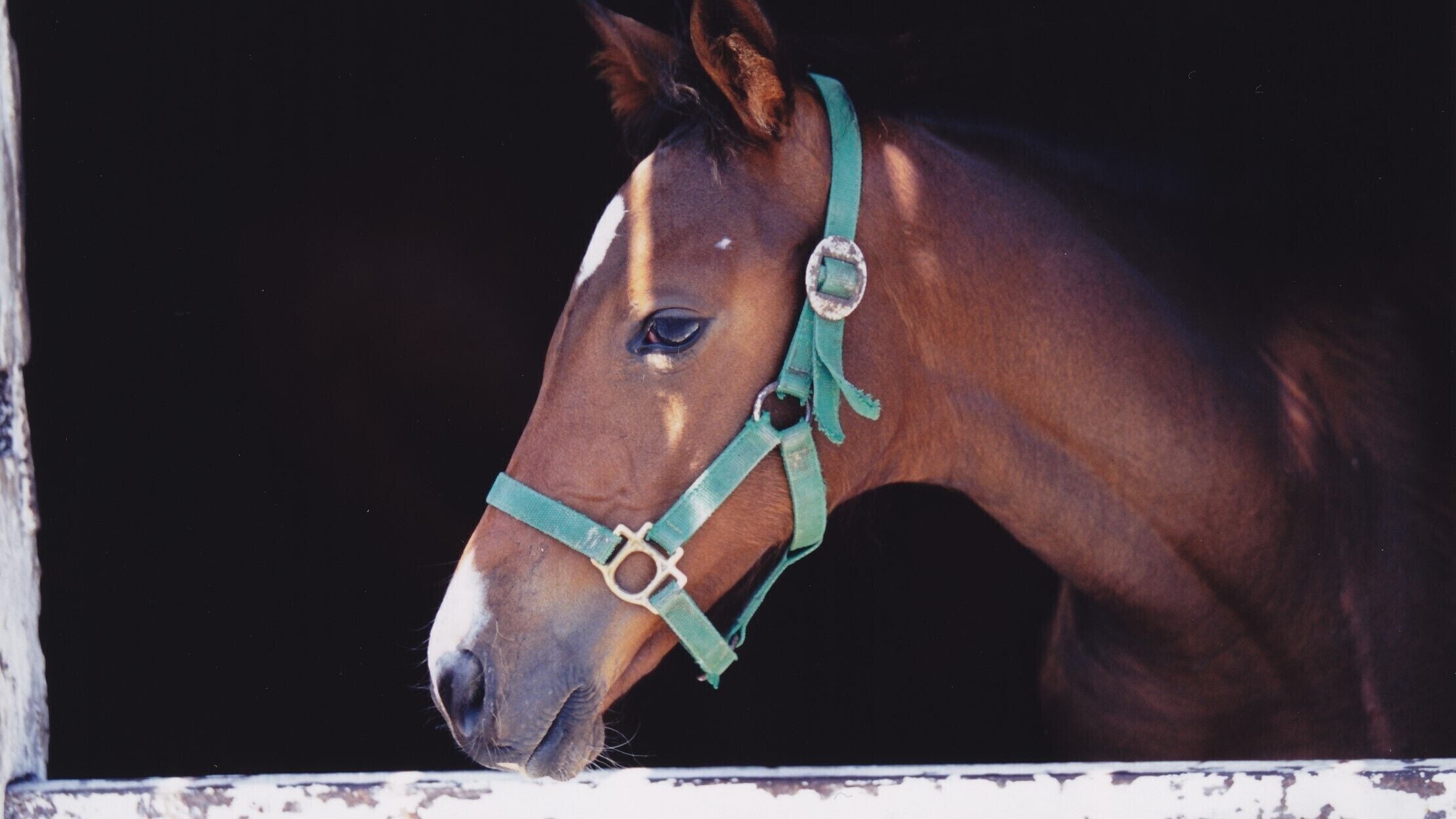 land view from property