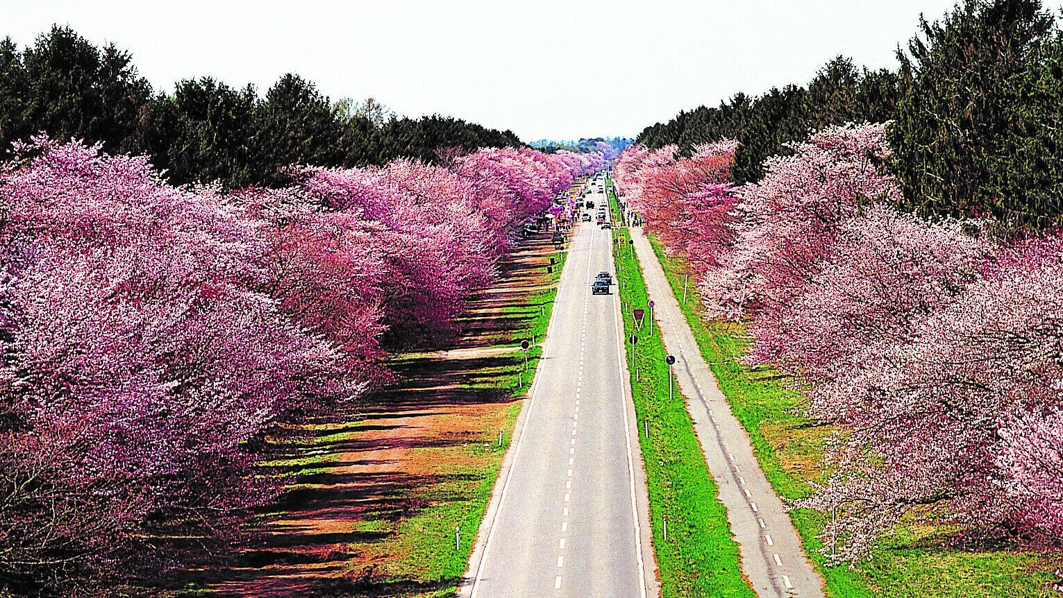 land view from property
