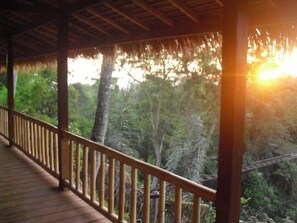 Una terraza de madera con barandilla que da a un bosque frondoso.