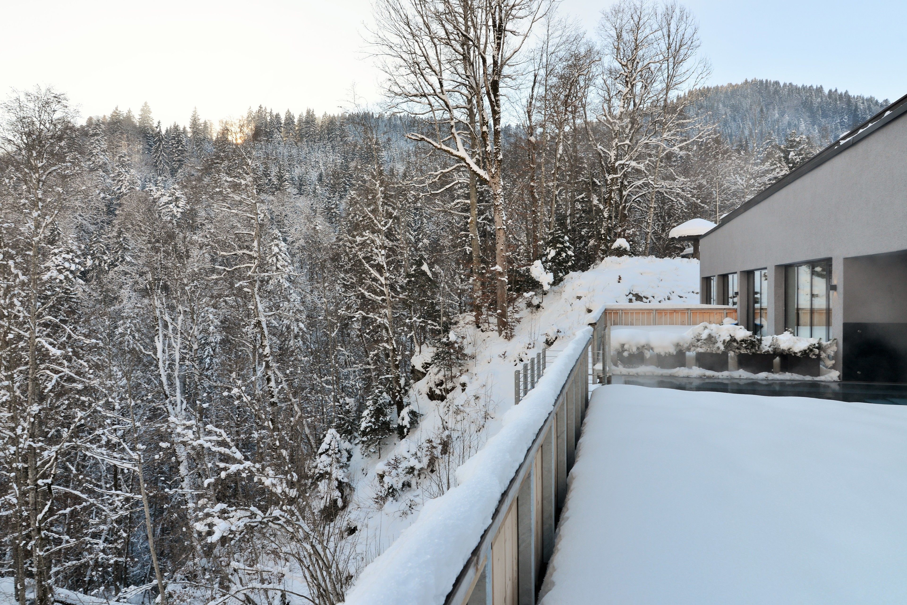 A modern building with large windows overlooking a snowy forest.