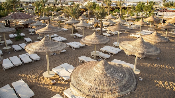 A beach with rows of sun loungers and thatched umbrellas, palm trees, and a distant cityscape. - Cataract Layalina Resort (Sharm El Sheikh)