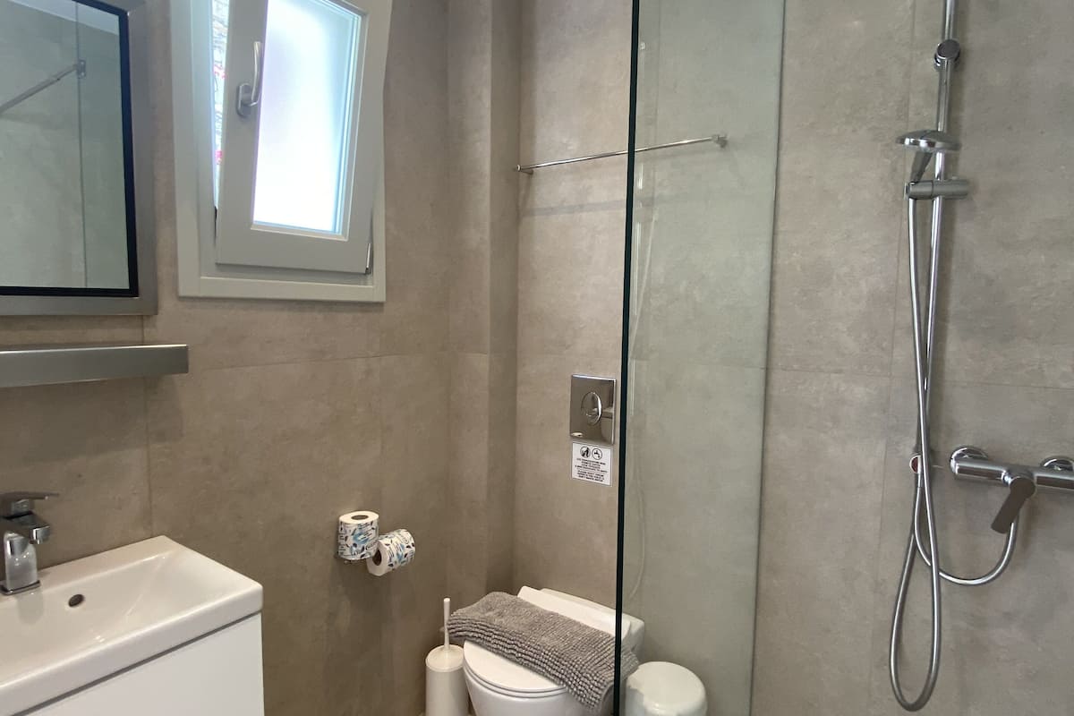 shower, free toiletries, hair dryer, towels