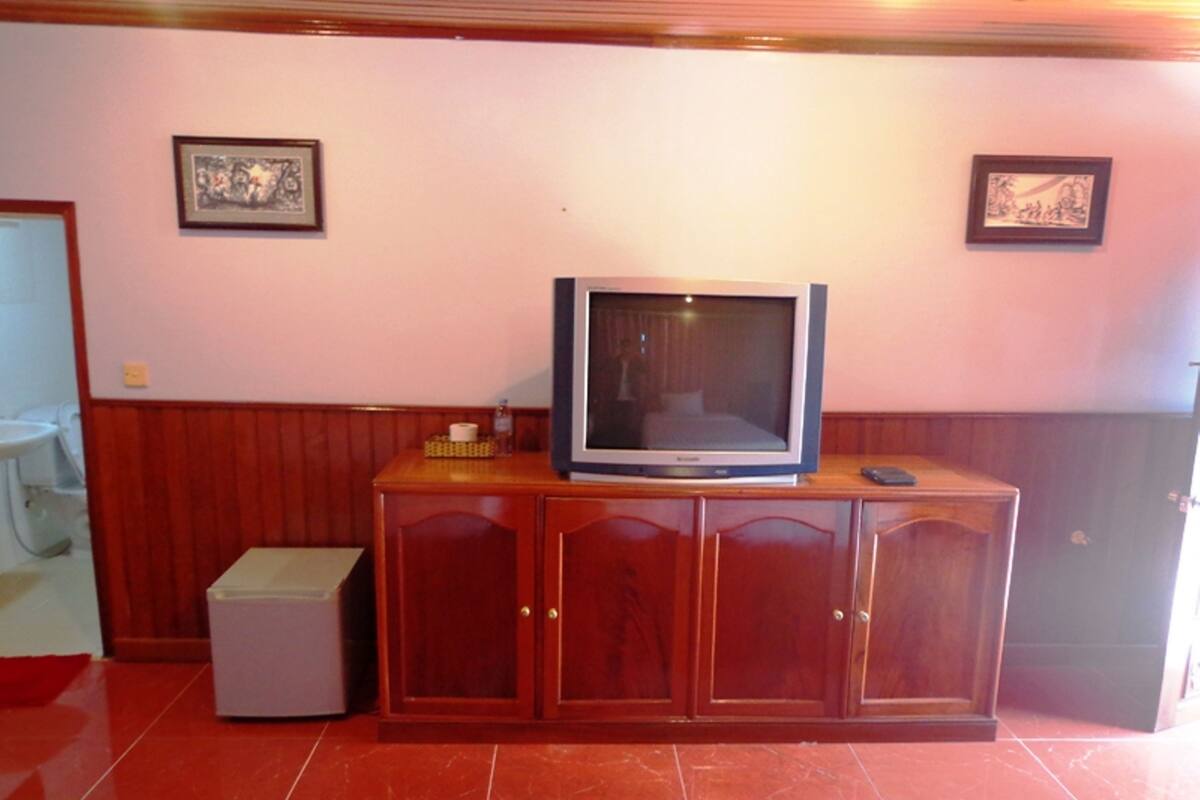 A room with a television on a wooden cabinet, a small trash bin, and two framed pictures on the wall.