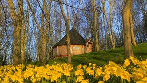 A wooden cabin surrounded by trees and a field of yellow daffodils. - High Parks (Bedale)