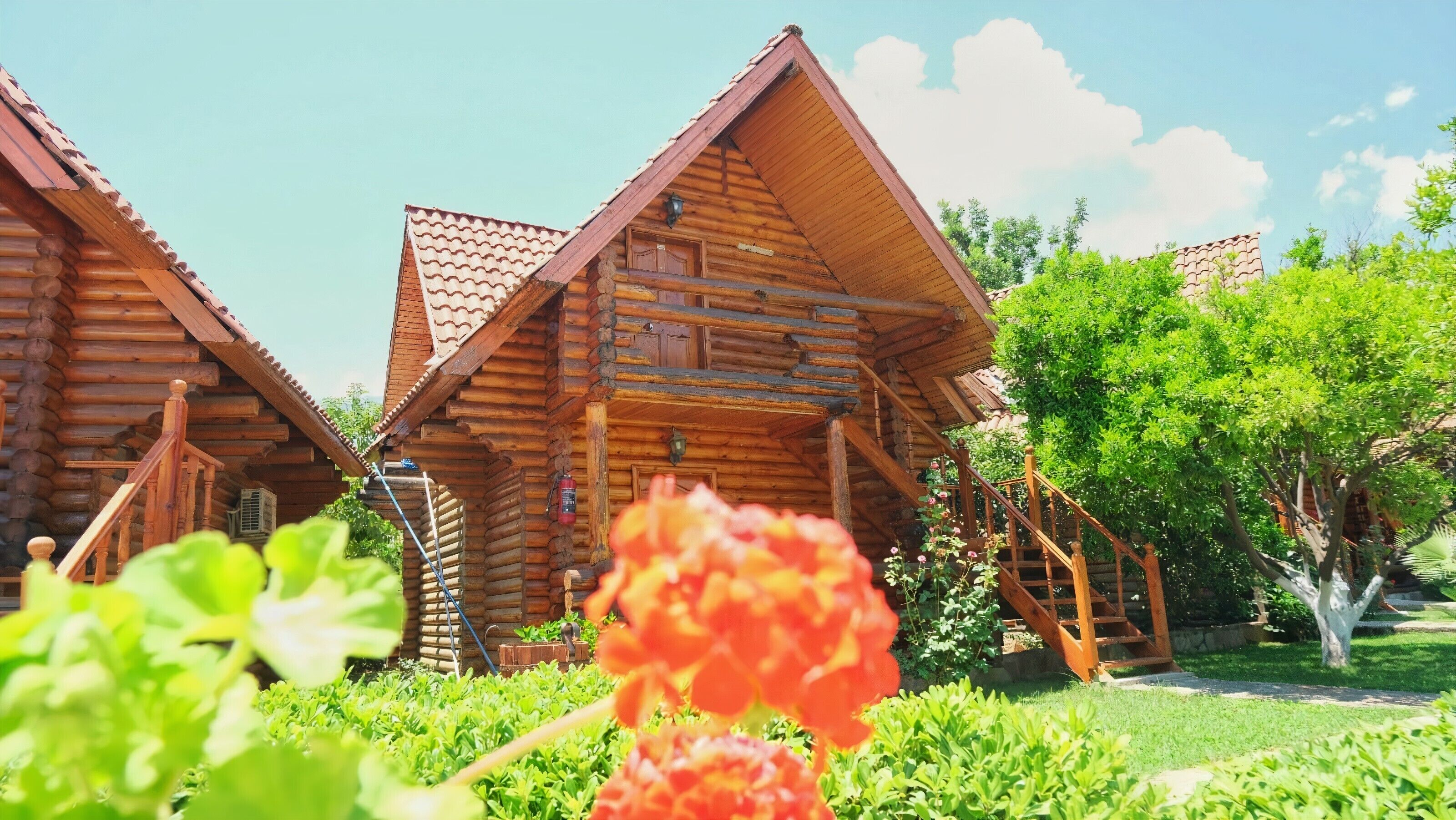 Foto - Woodline Hotel